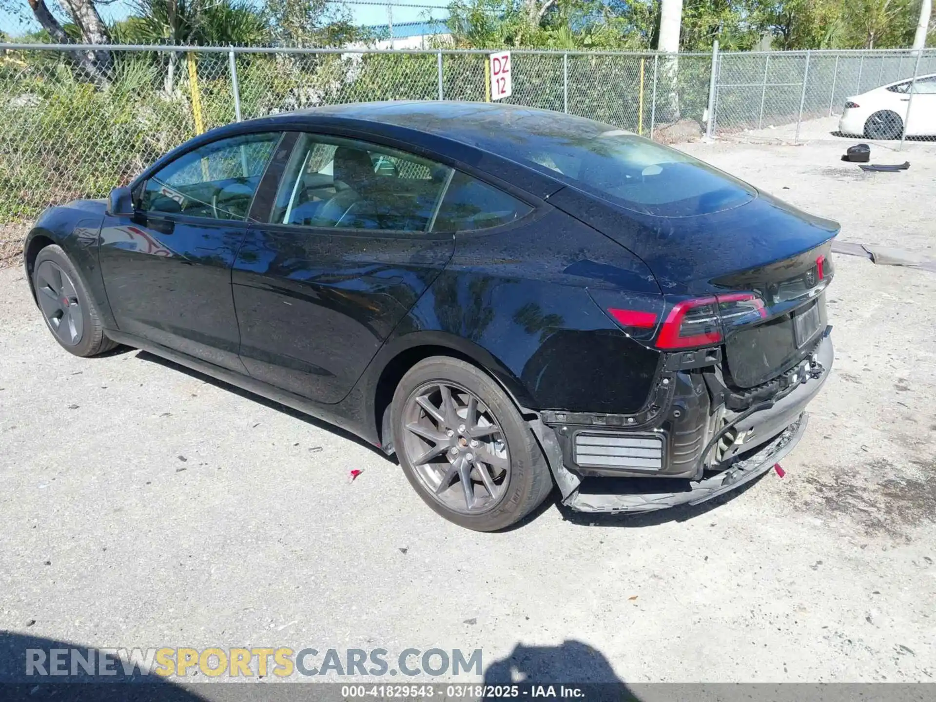 3 Photograph of a damaged car 5YJ3E1EAXPF623403 TESLA MODEL 3 2023
