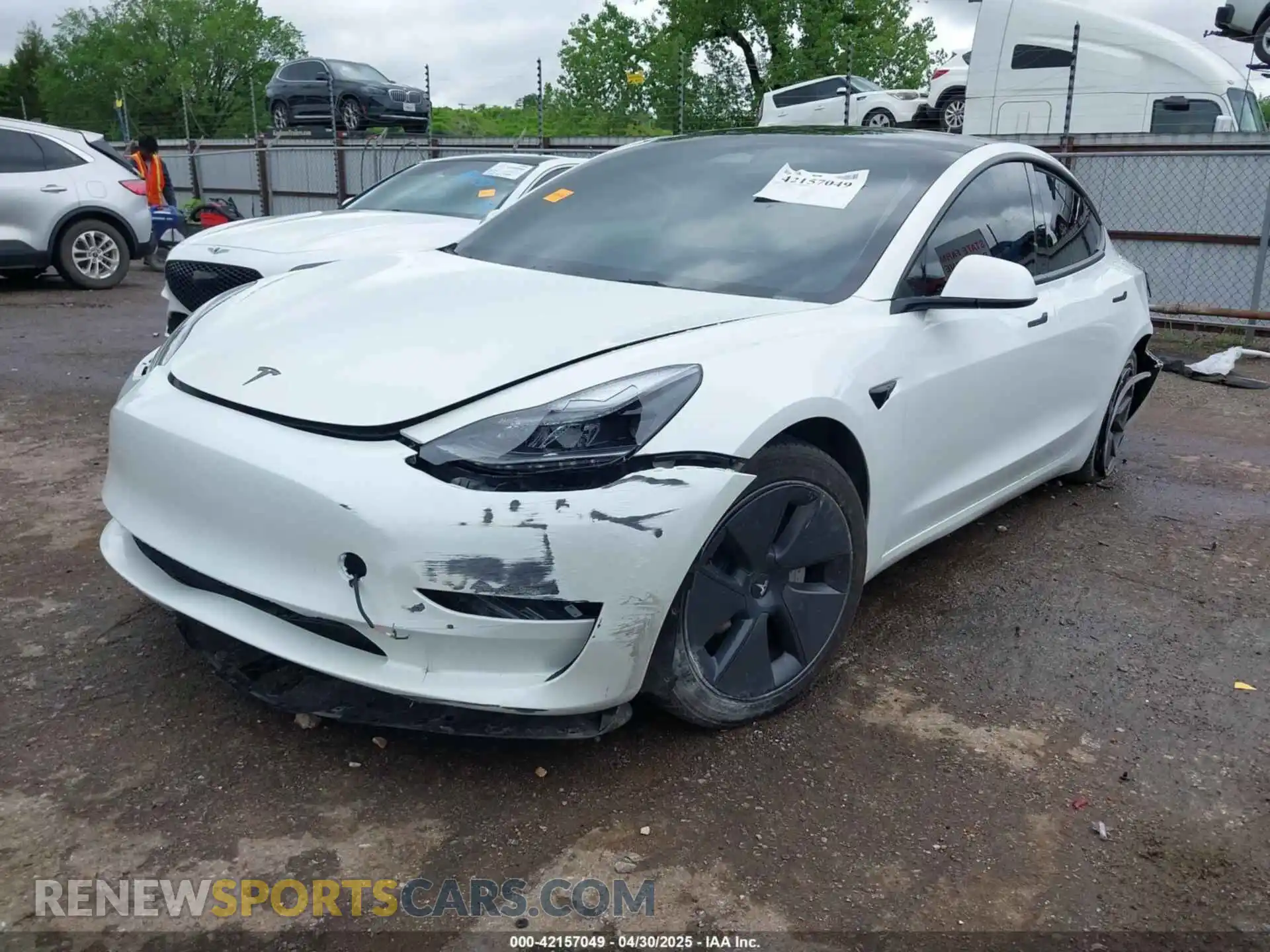 2 Photograph of a damaged car 5YJ3E1EB0PF596303 TESLA MODEL 3 2023