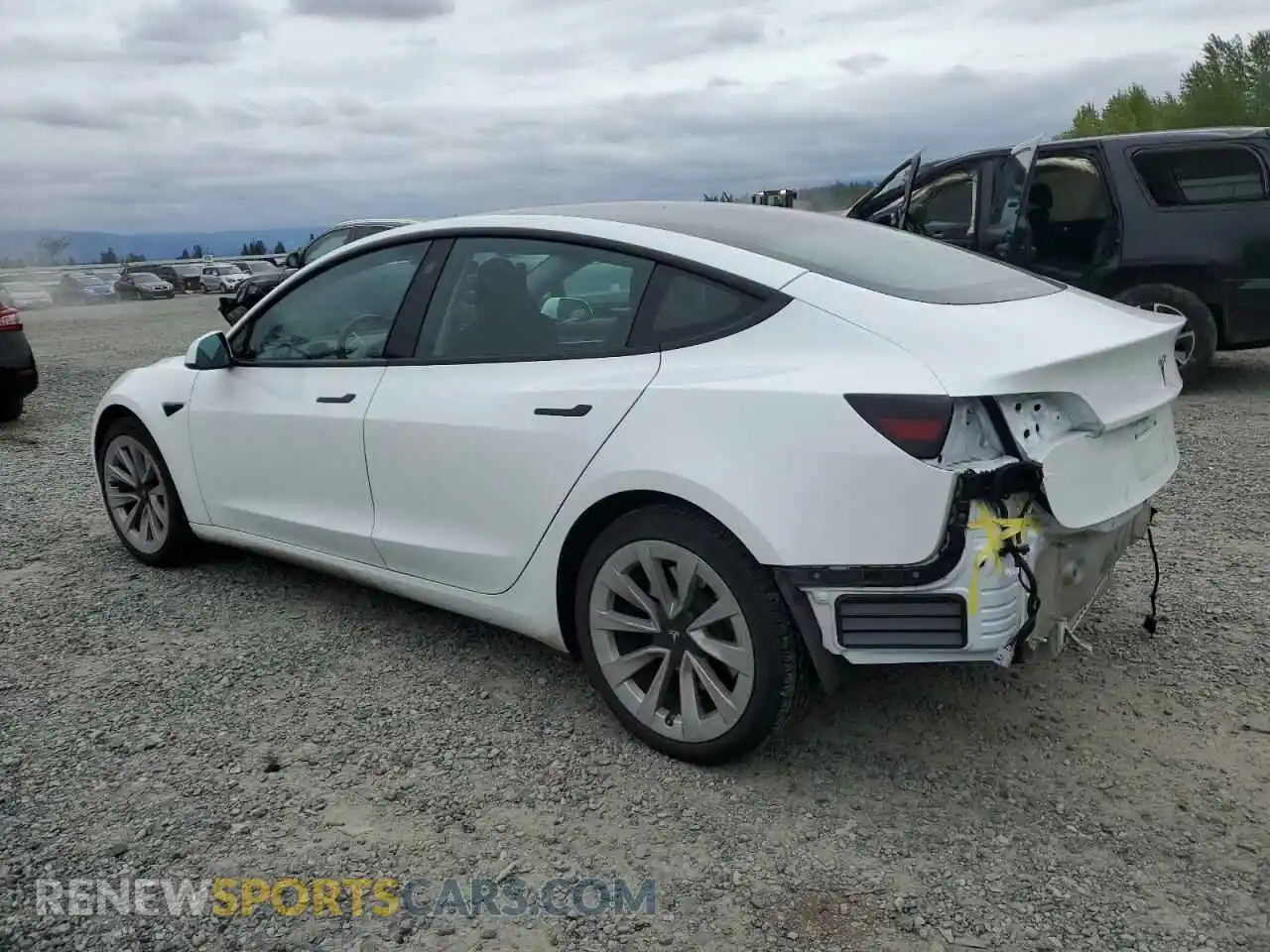 2 Photograph of a damaged car 5YJ3E1EB1PF665368 TESLA MODEL 3 2023