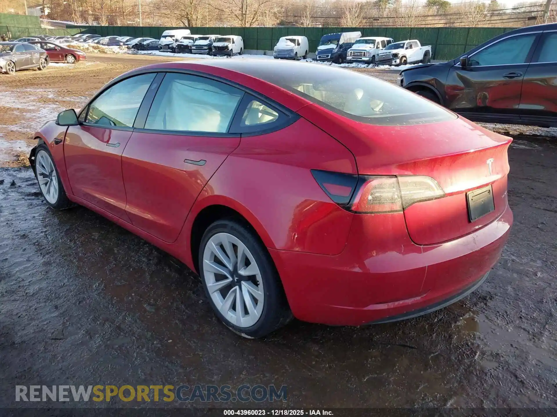 3 Photograph of a damaged car 5YJ3E1EB2PF659126 TESLA MODEL 3 2023