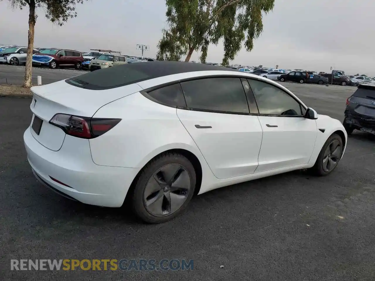 3 Photograph of a damaged car 5YJ3E1EB5PF477825 TESLA MODEL 3 2023