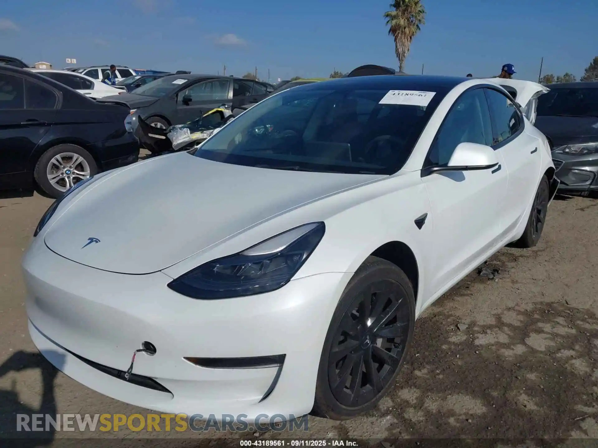 2 Photograph of a damaged car 5YJ3E1EB7PF416508 TESLA MODEL 3 2023