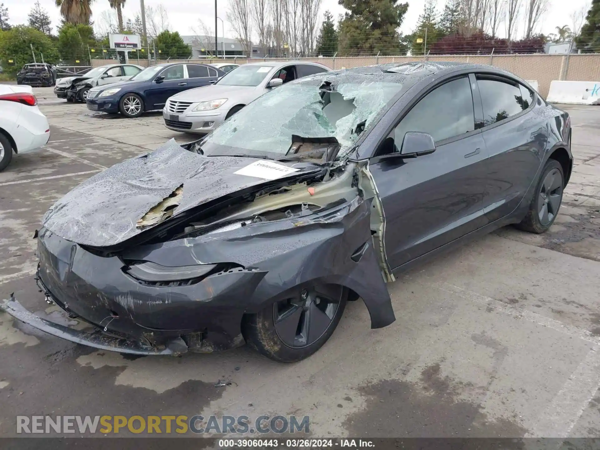 2 Photograph of a damaged car 5YJ3E1EB8PF704666 TESLA MODEL 3 2023