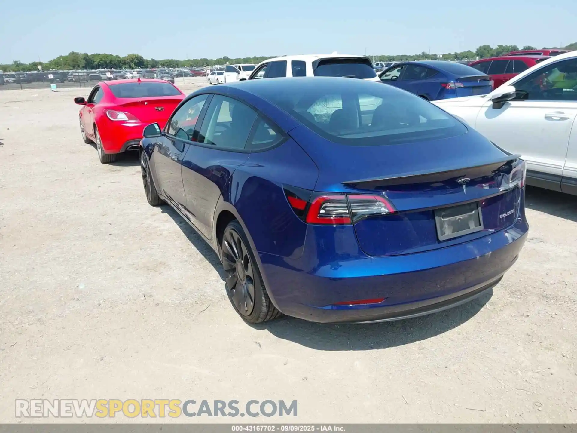 3 Photograph of a damaged car 5YJ3E1EC0PF628336 TESLA MODEL 3 2023