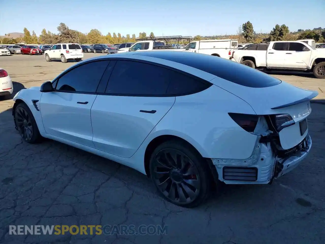 2 Фотография поврежденного автомобиля 5YJ3E1EC1PF476261 TESLA MODEL 3 2023