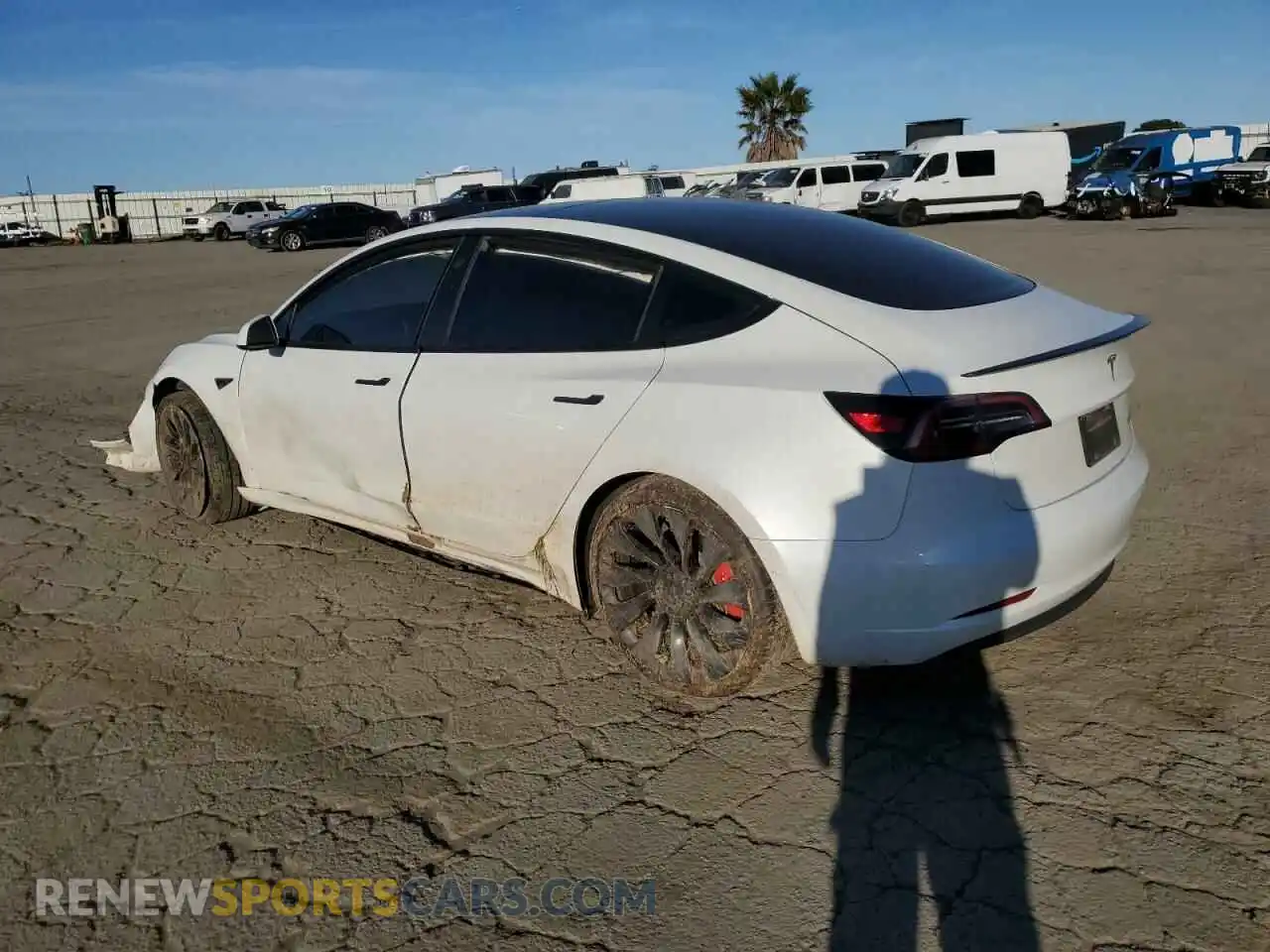 2 Photograph of a damaged car 5YJ3E1EC3PF556807 TESLA MODEL 3 2023