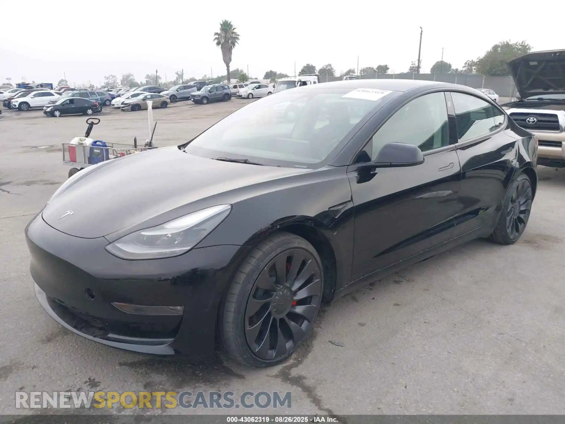 2 Photograph of a damaged car 5YJ3E1EC3PF600739 TESLA MODEL 3 2023