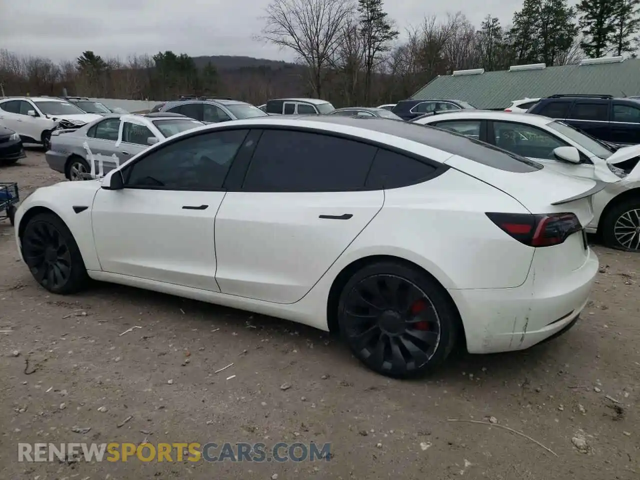 2 Photograph of a damaged car 5YJ3E1EC3PF608355 TESLA MODEL 3 2023