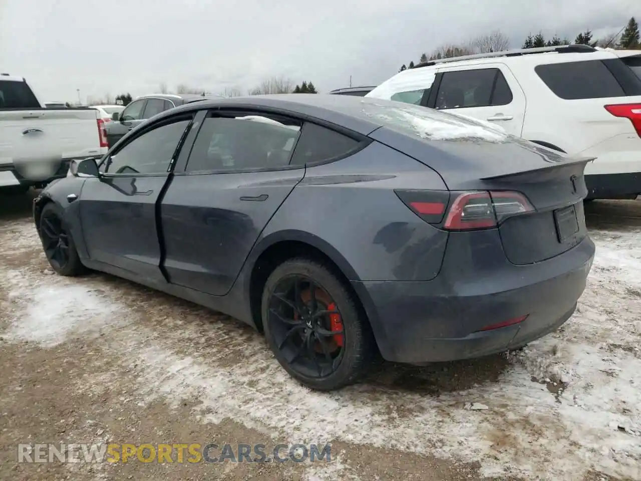 2 Photograph of a damaged car 5YJ3E1EC4PF560607 TESLA MODEL 3 2023