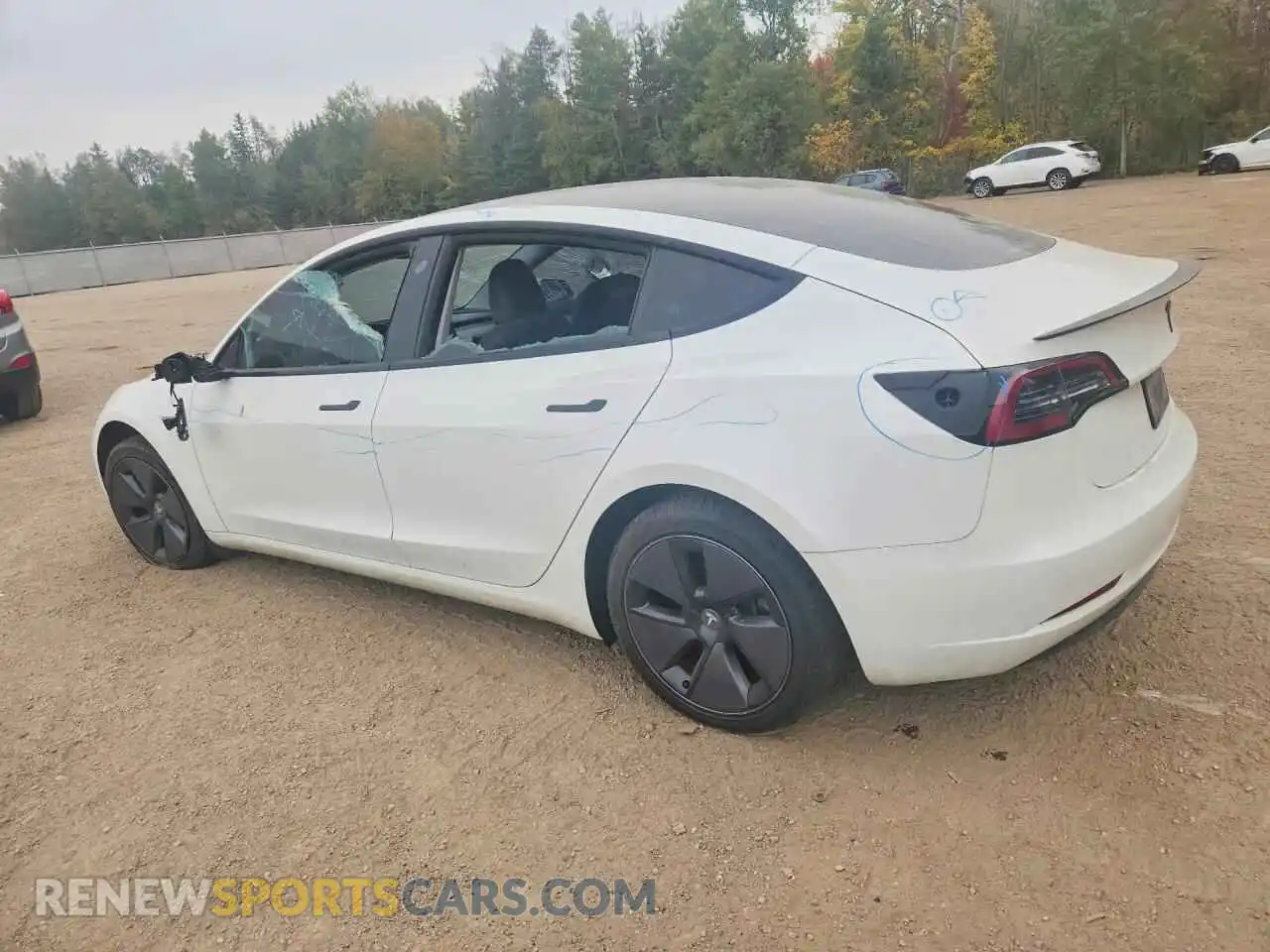 2 Photograph of a damaged car LRW3E1EB6PC923426 TESLA MODEL 3 2023