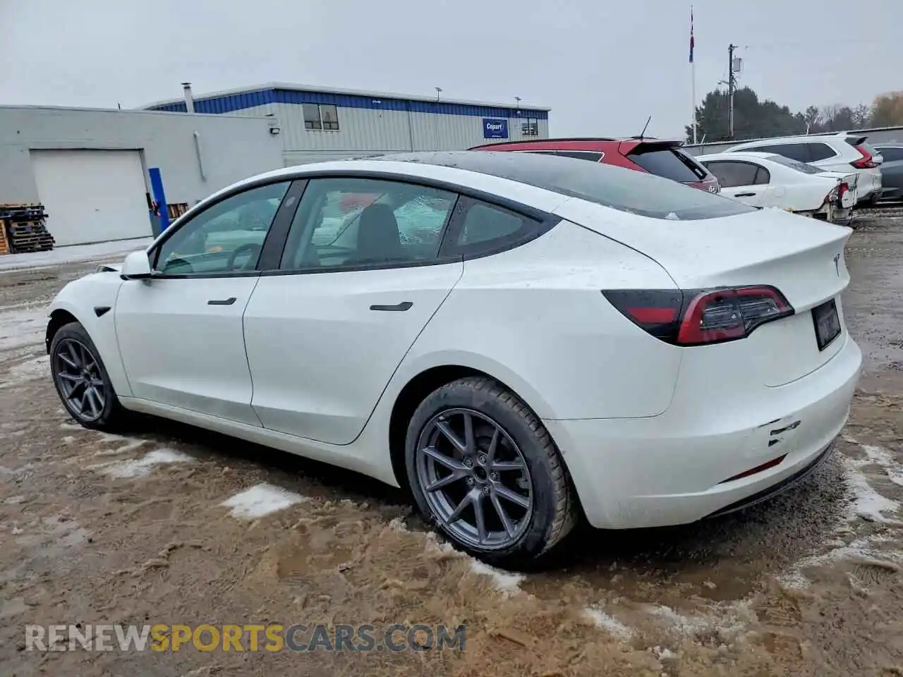 2 Photograph of a damaged car LRW3E1FA9PC845777 TESLA MODEL 3 2023