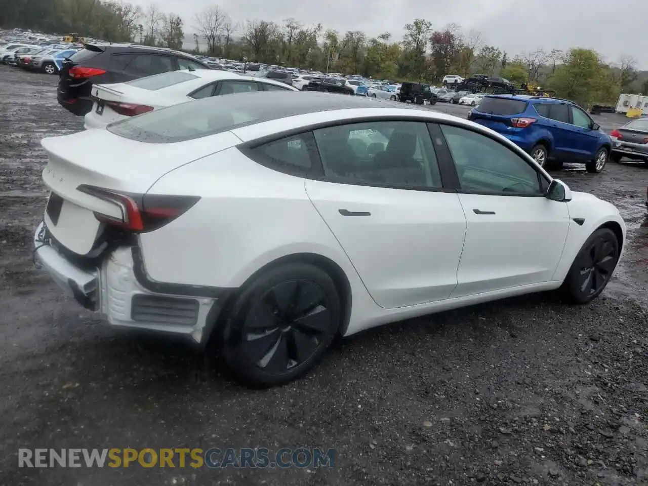 3 Photograph of a damaged car 5YJ3E1EA5RF728546 TESLA MODEL 3 2024