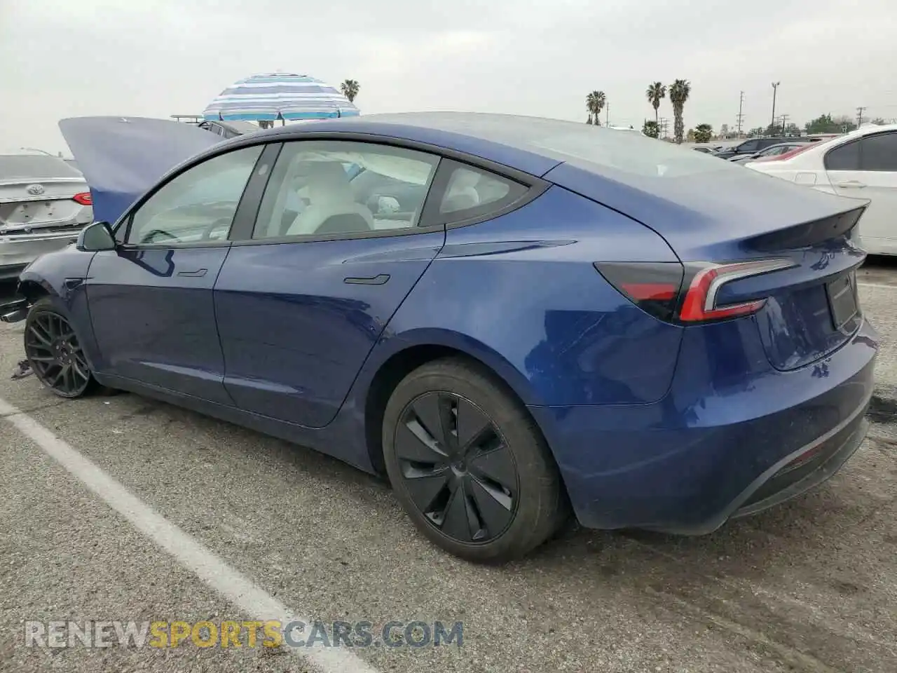 2 Photograph of a damaged car 5YJ3E1EA7RF771270 TESLA MODEL 3 2024