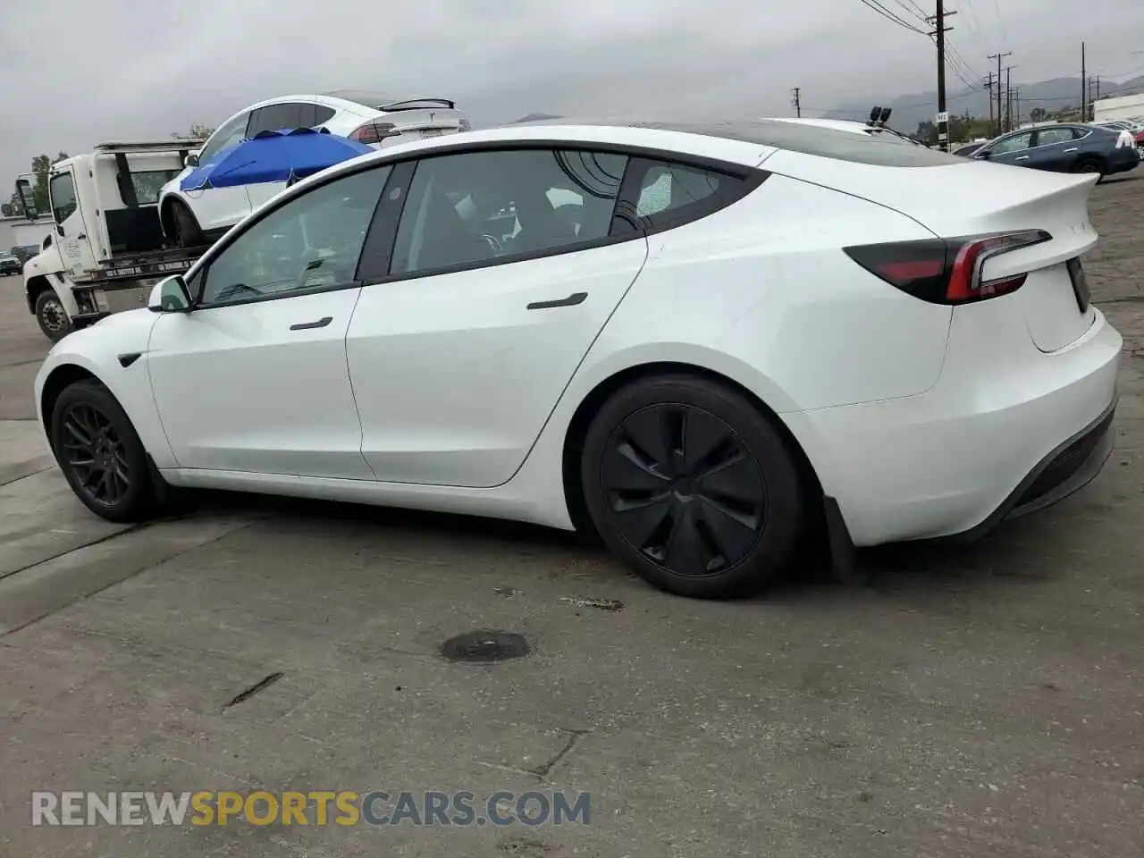 2 Photograph of a damaged car 5YJ3E1EAXRF856426 TESLA MODEL 3 2024