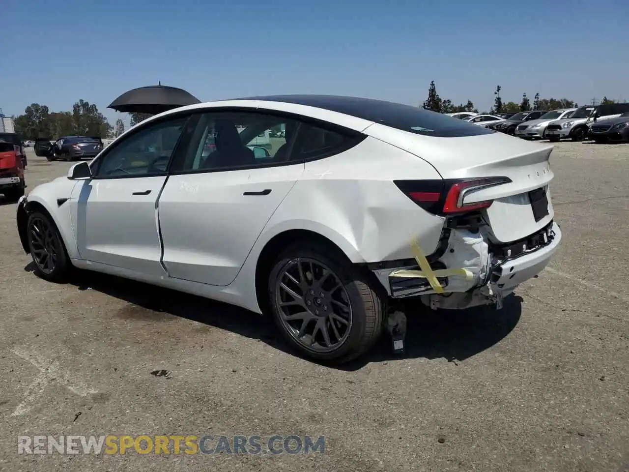 2 Photograph of a damaged car 5YJ3E1EA1SF992532 TESLA MODEL 3 2025