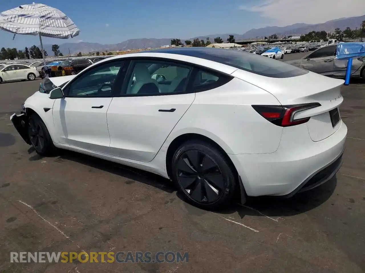 2 Photograph of a damaged car 5YJ3E1EAXSF904934 TESLA MODEL 3 2025