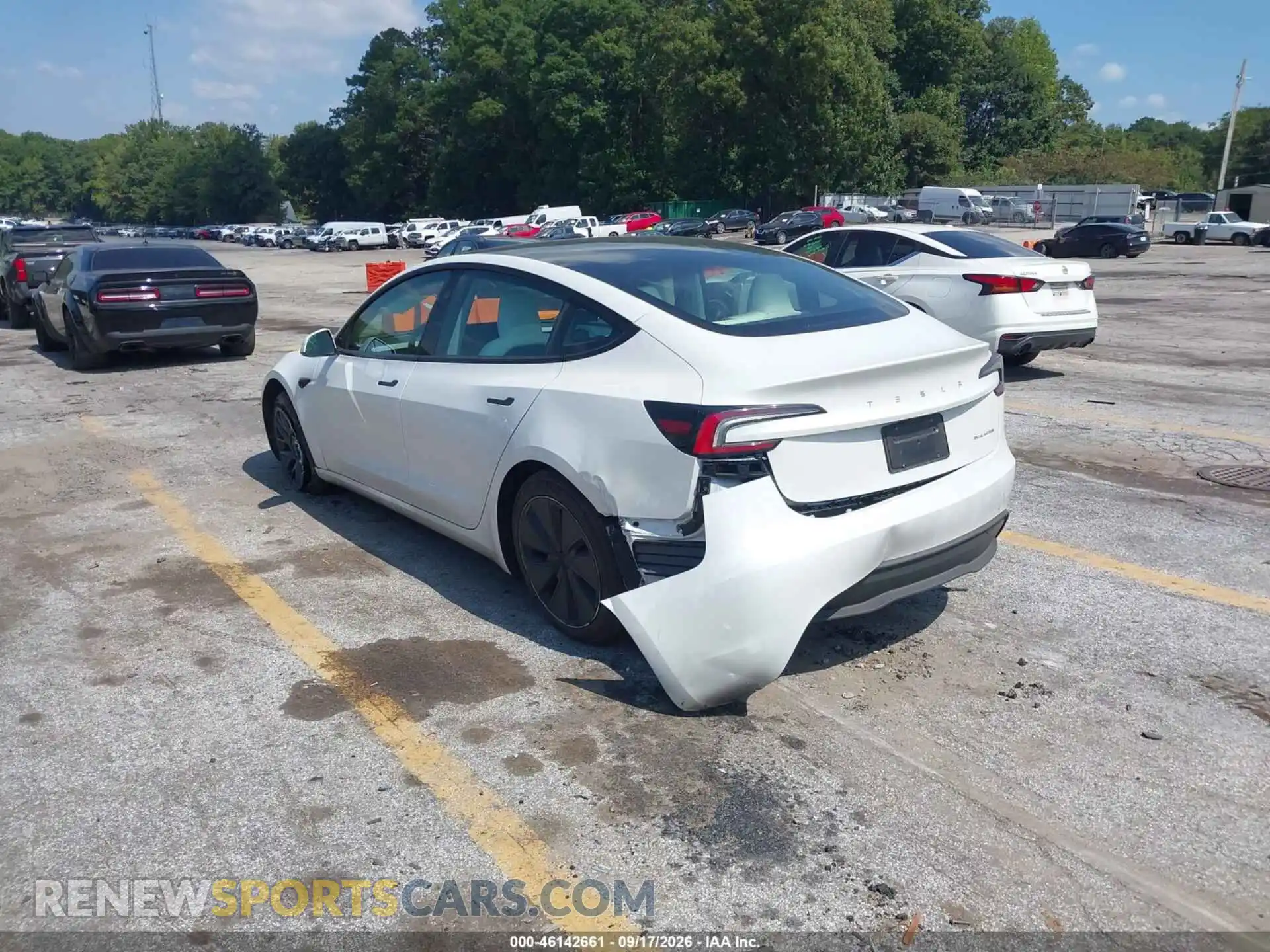 3 Photograph of a damaged car 5YJ3E1EB2SF873929 TESLA MODEL 3 2025