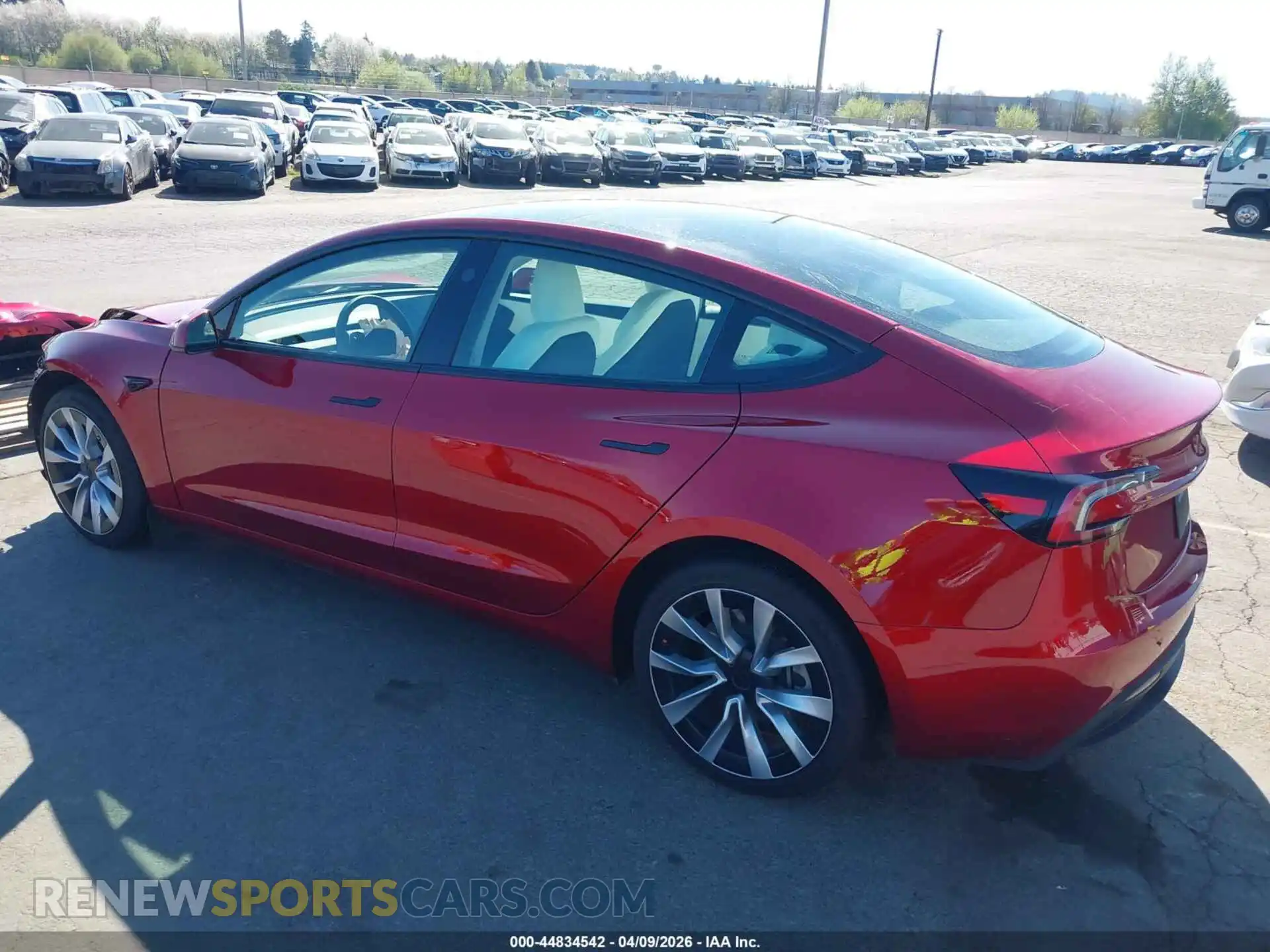 3 Photograph of a damaged car 5YJ3E1EB4SF904386 TESLA MODEL 3 2025