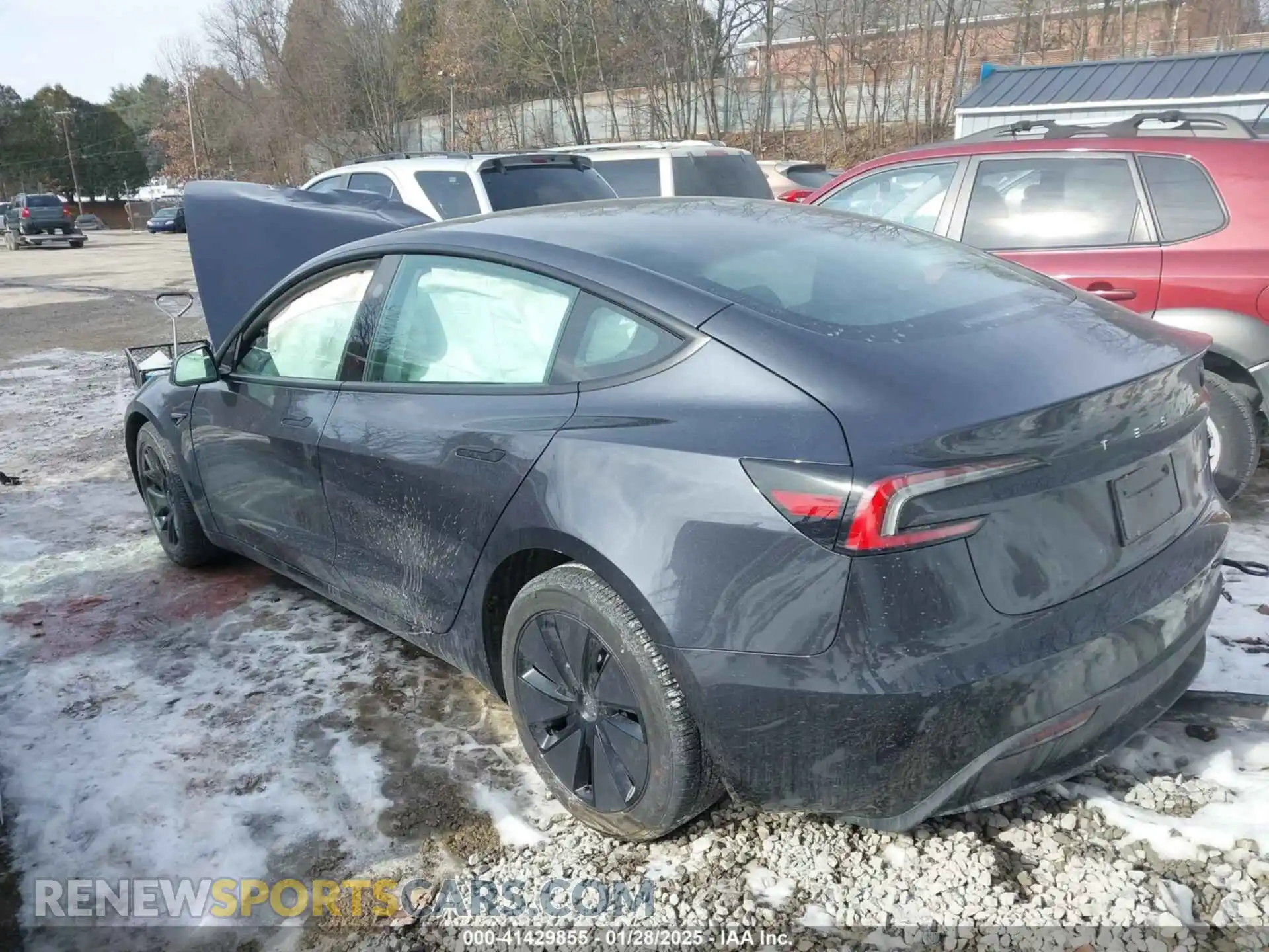 3 Photograph of a damaged car 5YJ3E1EB5SF880681 TESLA MODEL 3 2025