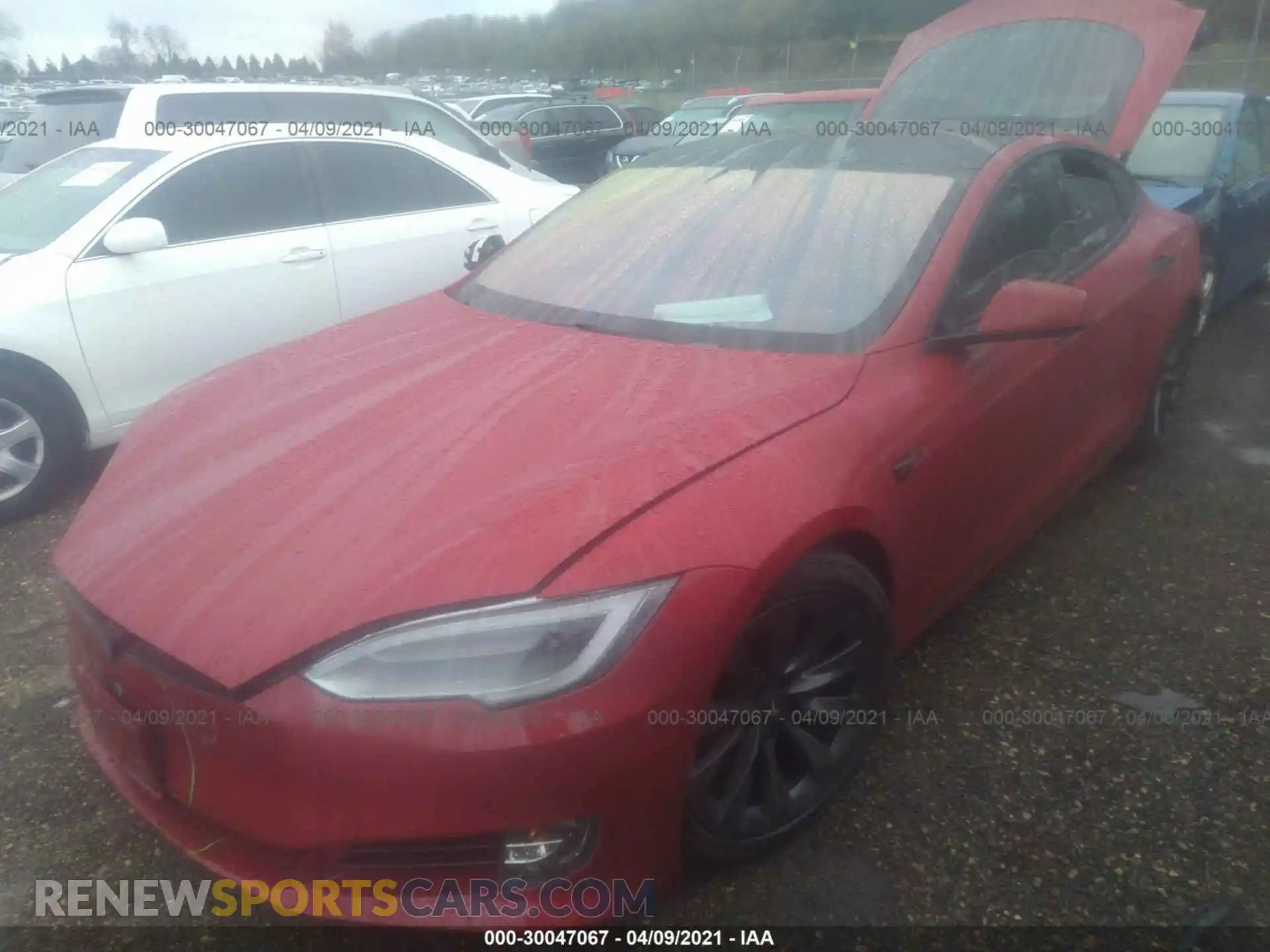 2 Photograph of a damaged car 5YJSA1E20LF359490 TESLA MODEL S 2020