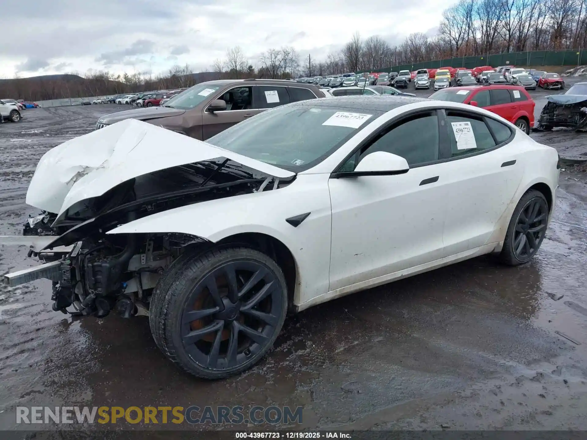 2 Photograph of a damaged car 5YJSA1E50PF501868 TESLA MODEL S 2023
