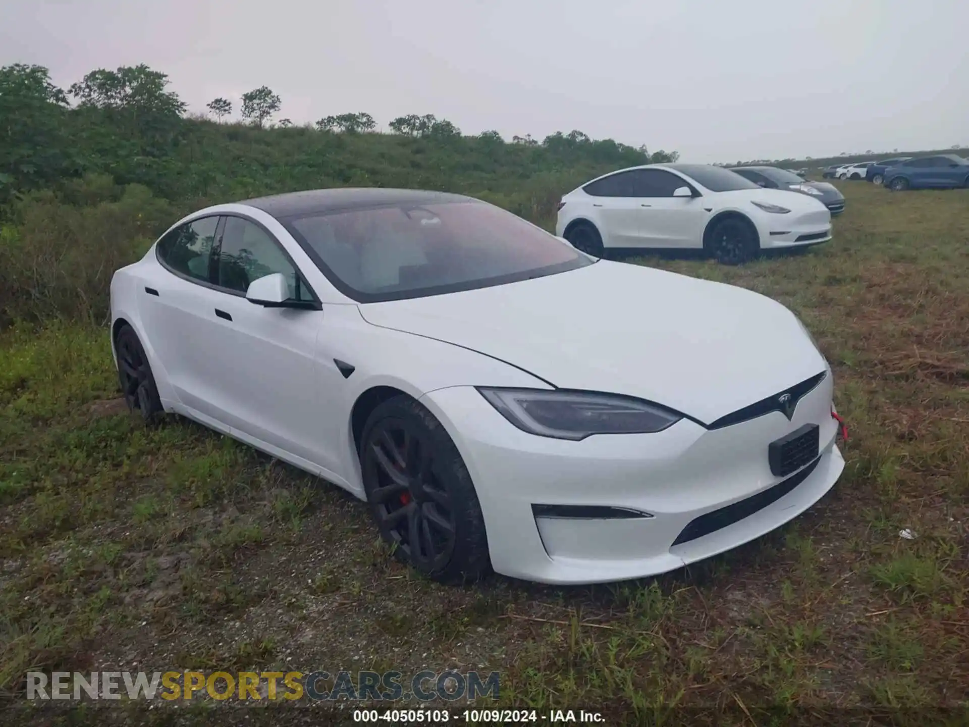 1 fotografías del automóvil dañado 5YJSA1E65PF528105 TESLA MODEL S 2023