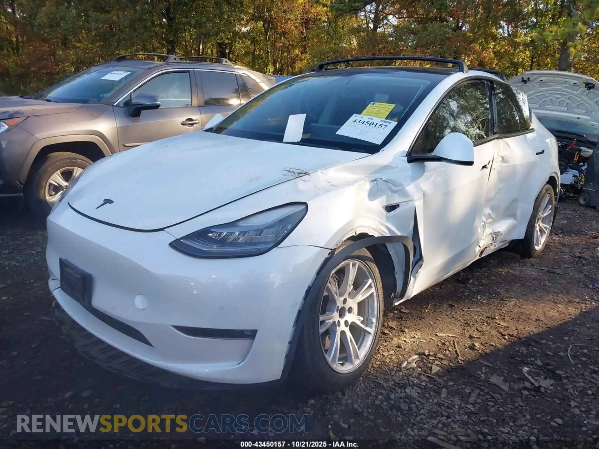 2 Photograph of a damaged car 5YJYGAED9MF176519 TESLA MODEL Y 2021