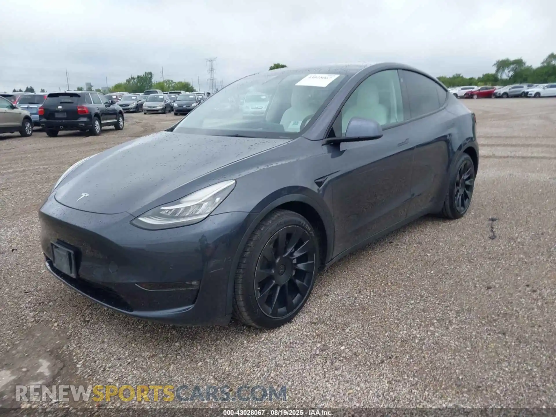 2 Photograph of a damaged car 5YJYGAEE5MF201182 TESLA MODEL Y 2021