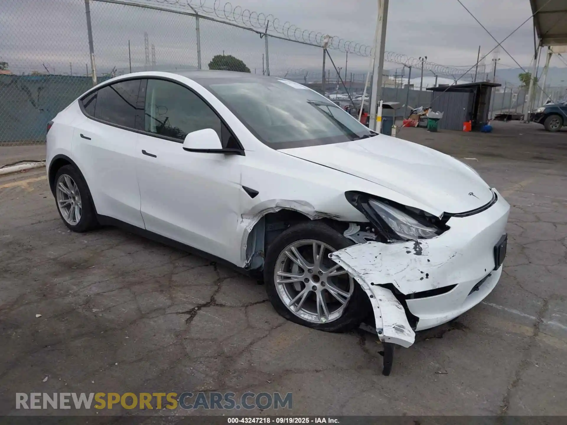 1 Photograph of a damaged car 5YJYGDED4MF110705 TESLA MODEL Y 2021