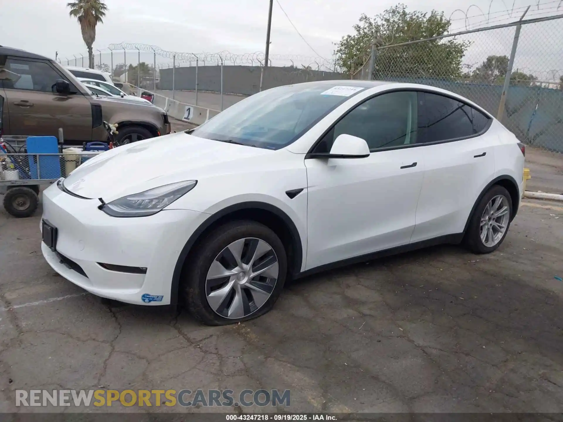 2 Photograph of a damaged car 5YJYGDED4MF110705 TESLA MODEL Y 2021