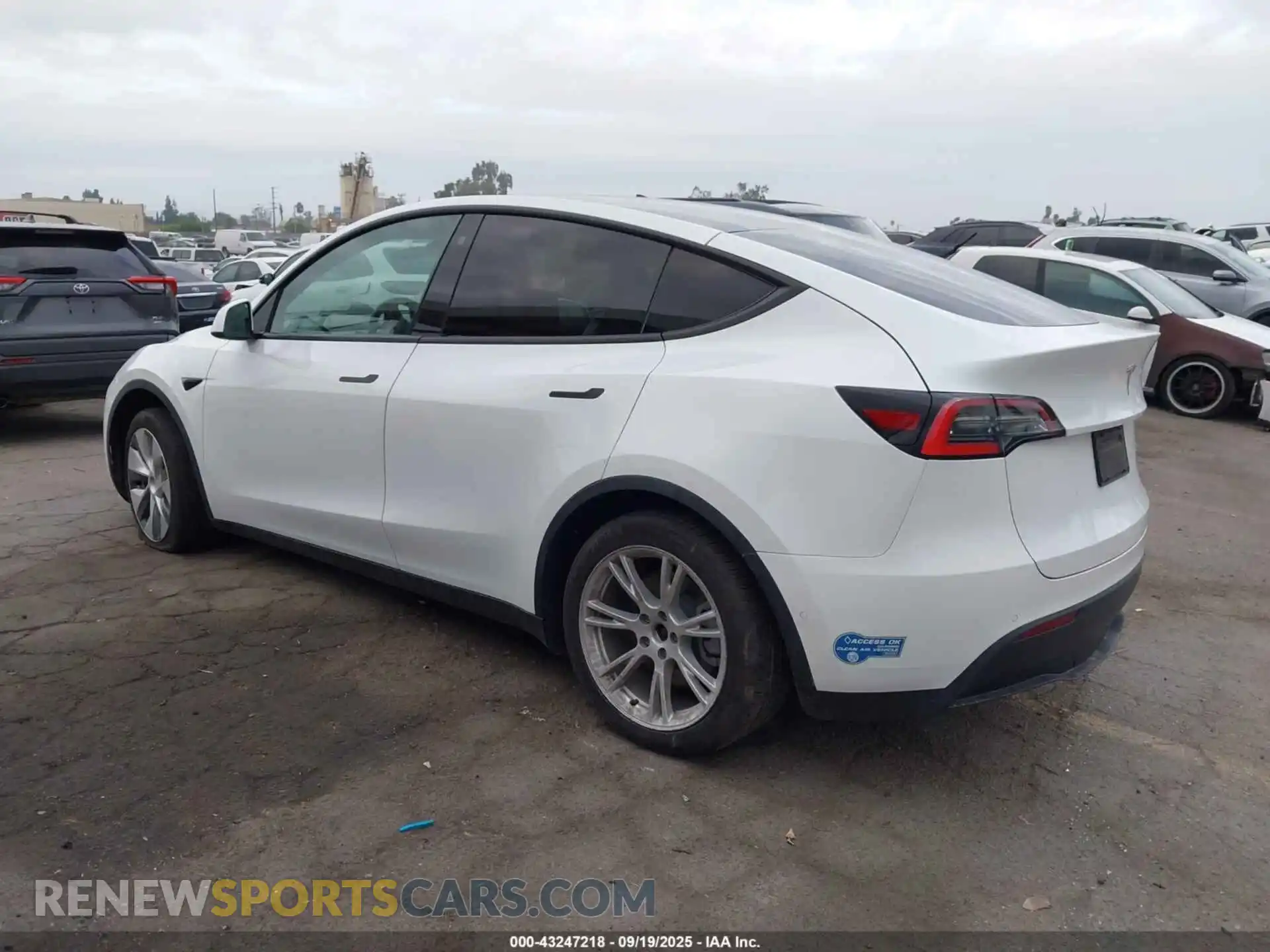 3 Photograph of a damaged car 5YJYGDED4MF110705 TESLA MODEL Y 2021