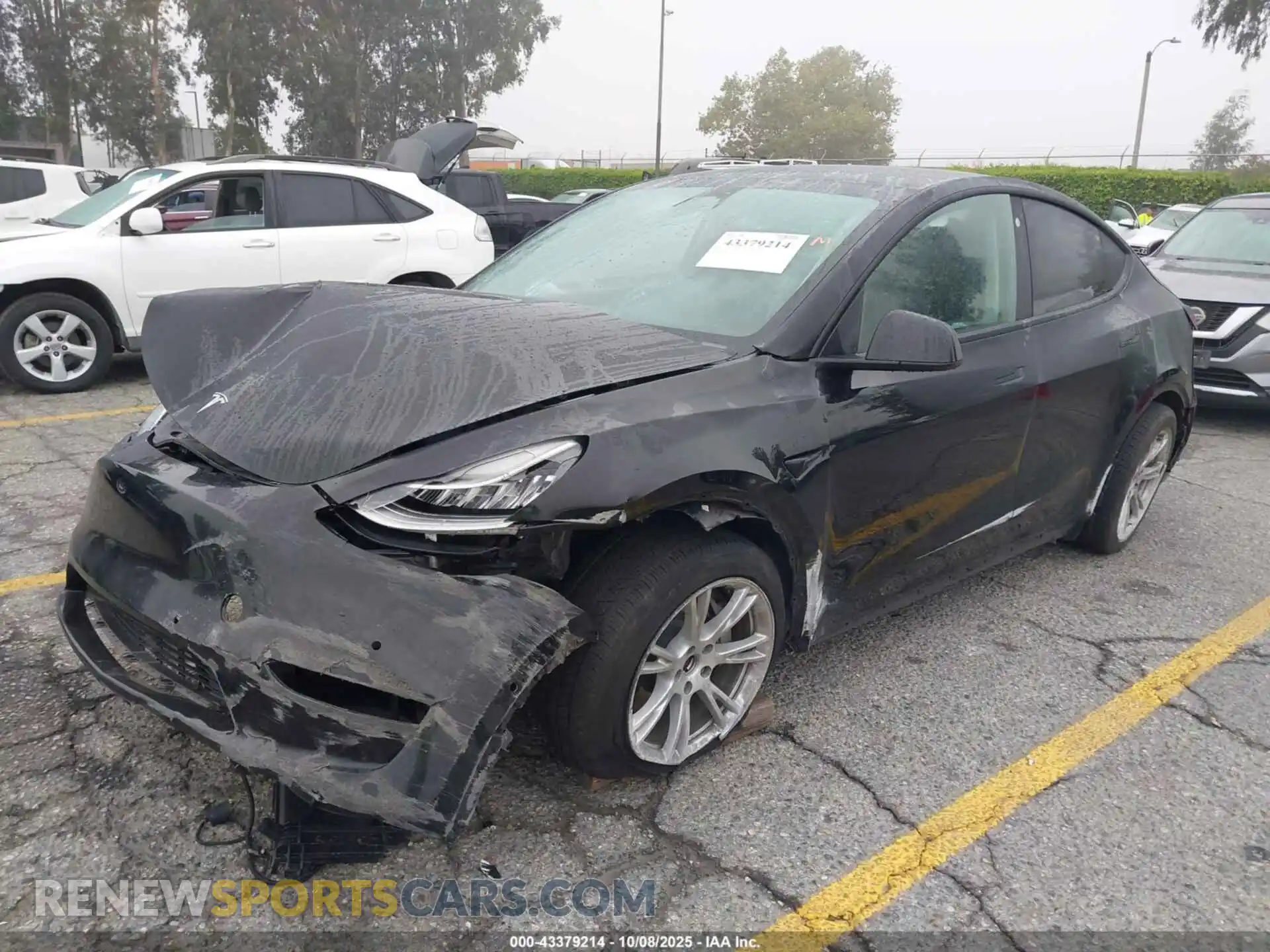 2 Photograph of a damaged car 5YJYGDEE2MF275046 TESLA MODEL Y 2021