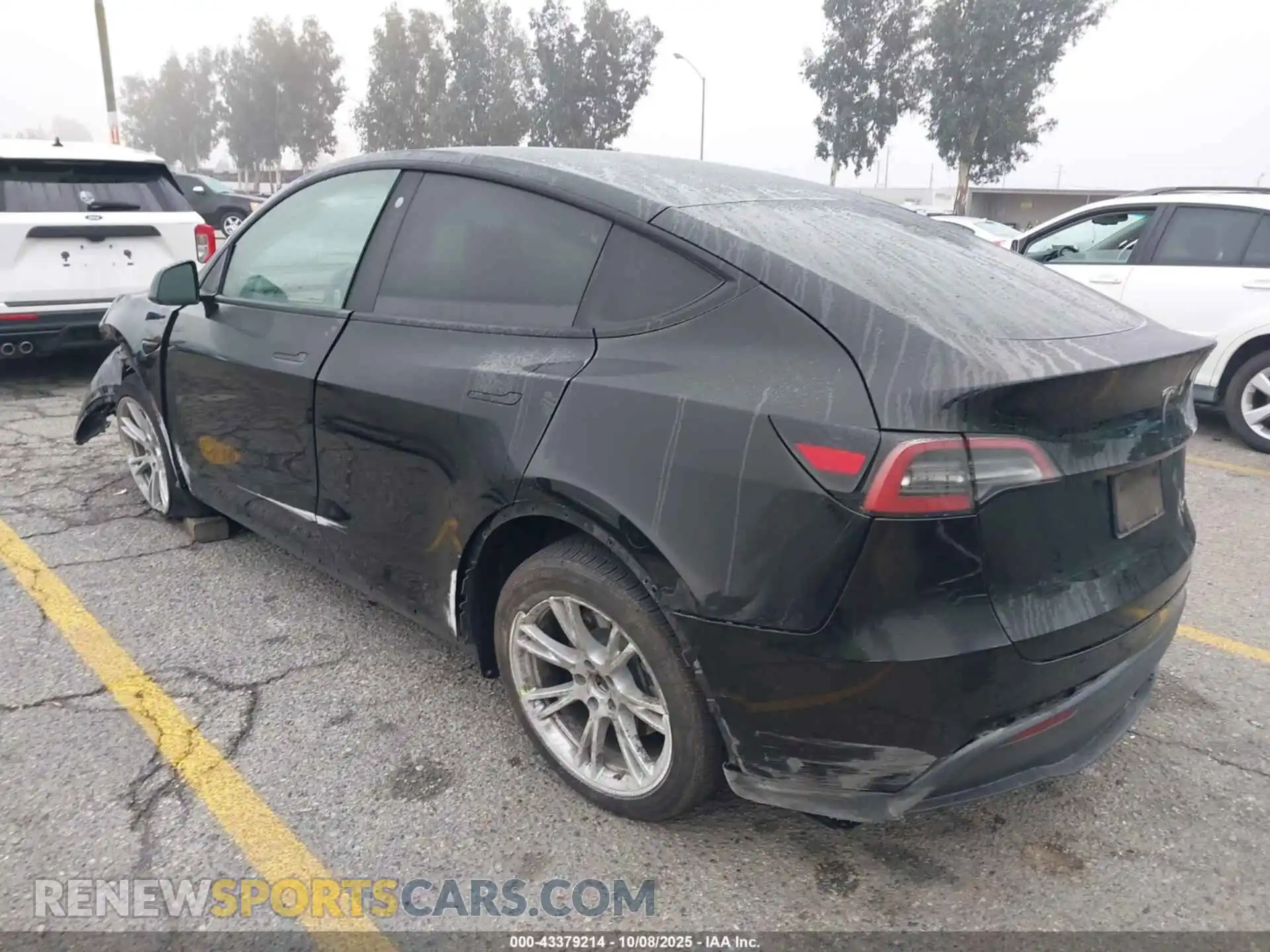 3 Photograph of a damaged car 5YJYGDEE2MF275046 TESLA MODEL Y 2021
