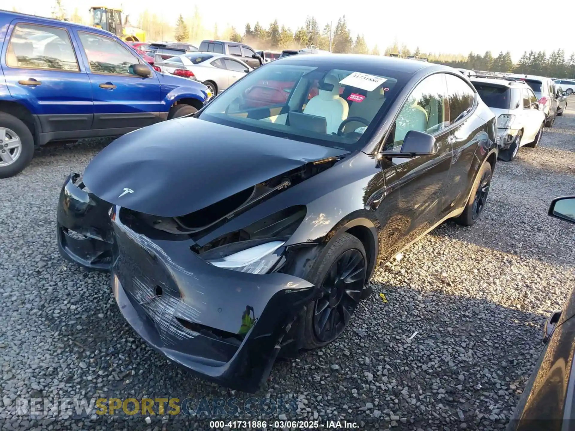 2 Фотография поврежденного автомобиля 5YJYGDEE2MF299024 TESLA MODEL Y 2021