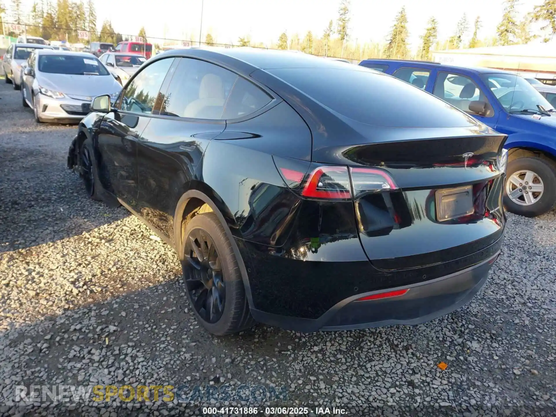 3 Фотография поврежденного автомобиля 5YJYGDEE2MF299024 TESLA MODEL Y 2021