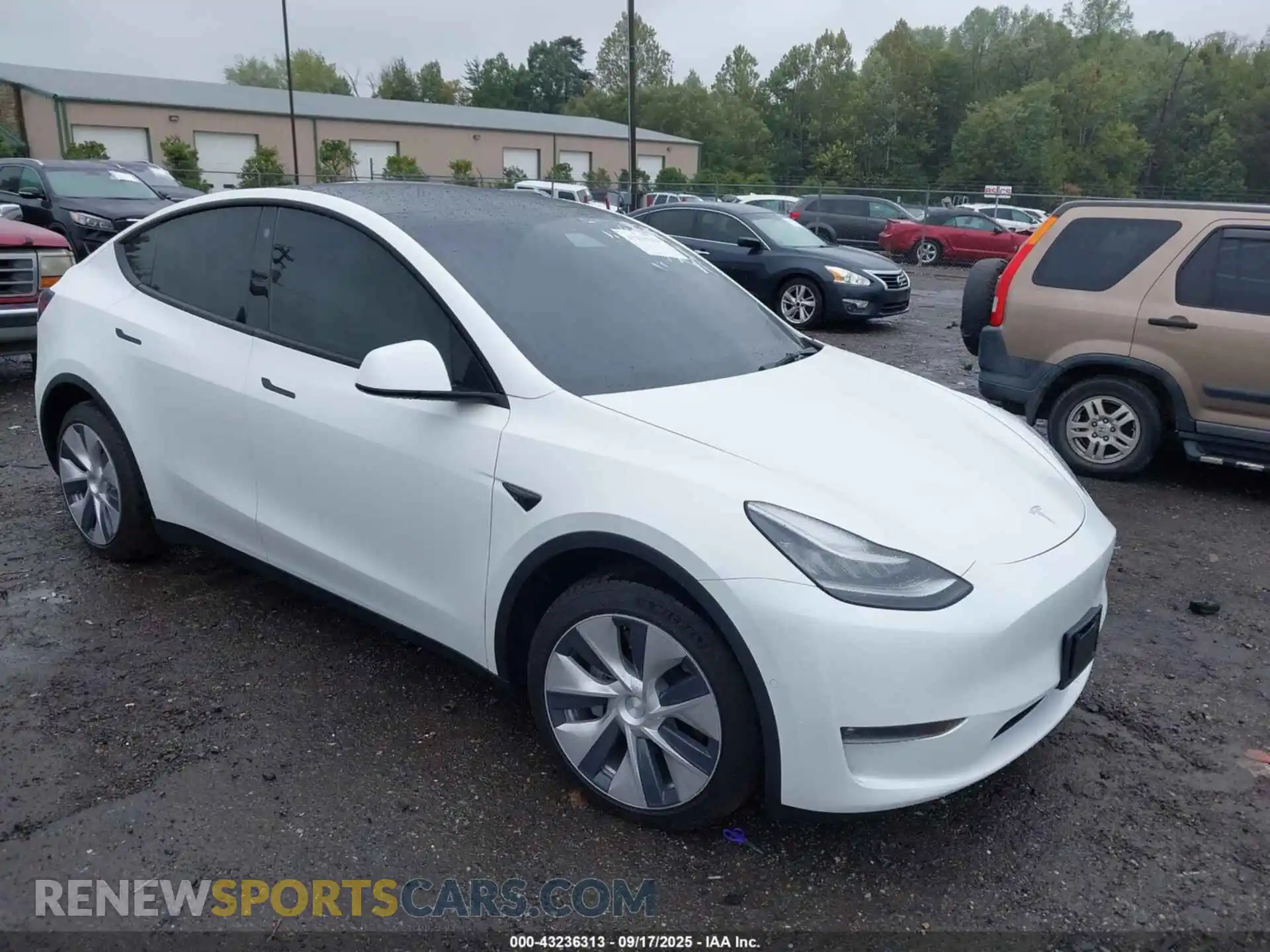 1 fotografías del automóvil dañado 5YJYGDEE3MF158317 TESLA MODEL Y 2021