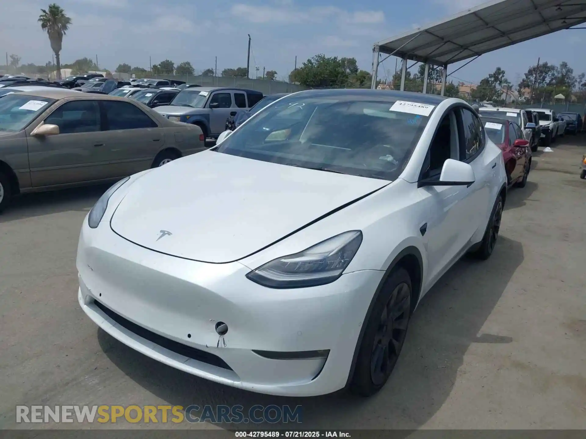 2 Photograph of a damaged car 5YJYGDEE4MF245529 TESLA MODEL Y 2021