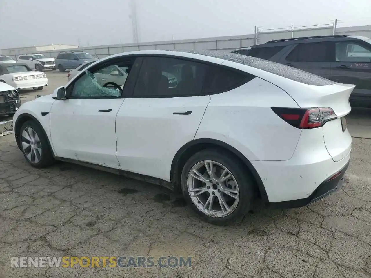 2 Photograph of a damaged car 5YJYGDEE5MF304619 TESLA MODEL Y 2021
