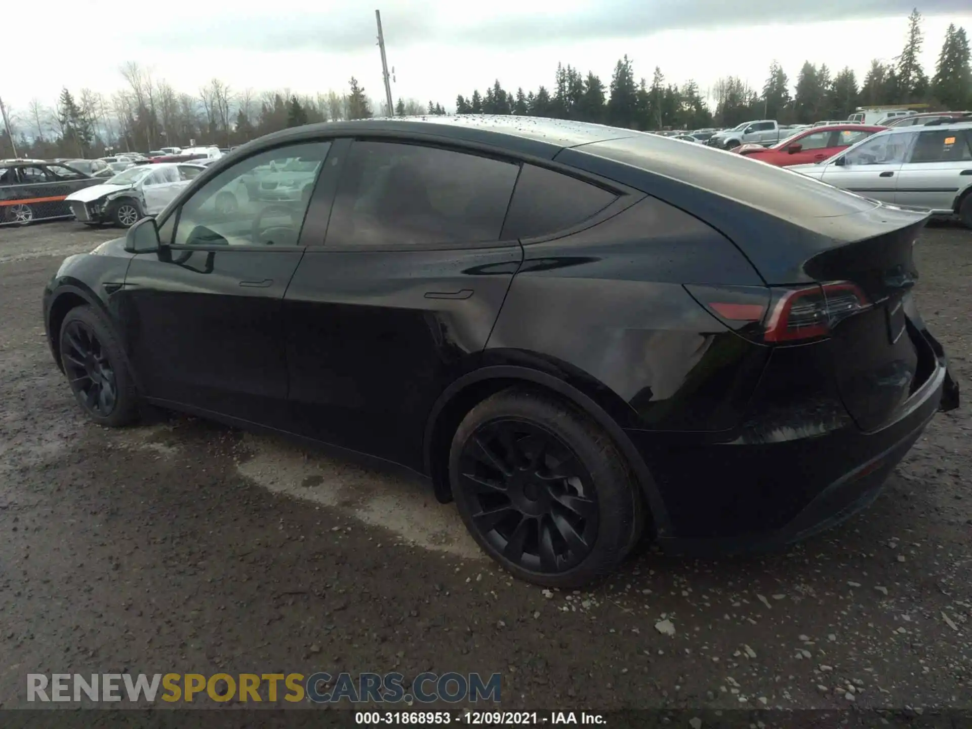 3 Photograph of a damaged car 5YJYGDEE6MF199623 TESLA MODEL Y 2021