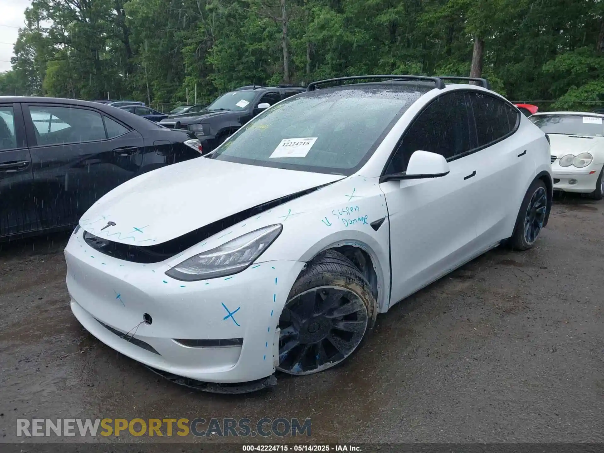 2 Photograph of a damaged car 5YJYGDEE7MF108245 TESLA MODEL Y 2021