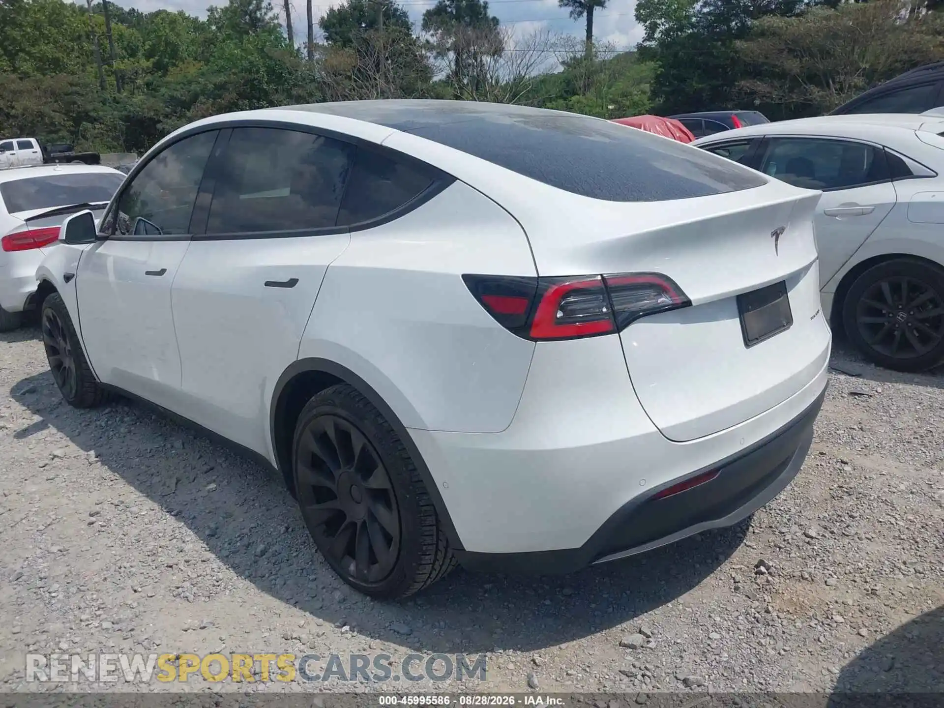 3 fotografías del automóvil dañado 5YJYGDEE7MF127393 TESLA MODEL Y 2021