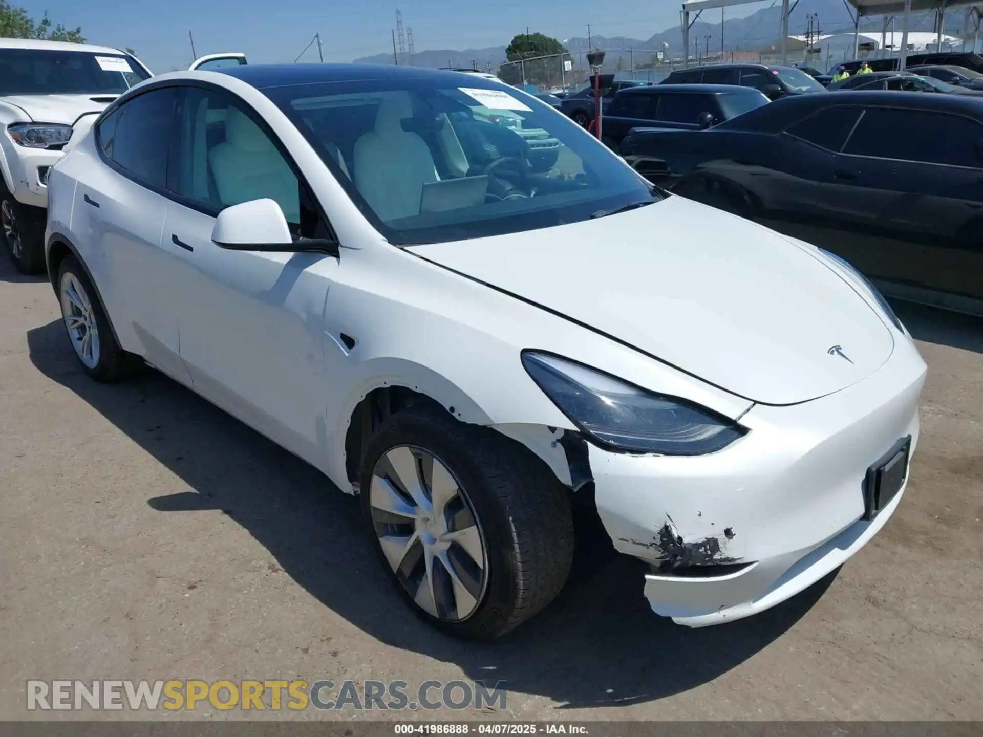 1 Photograph of a damaged car 5YJYGDEE7MF279223 TESLA MODEL Y 2021