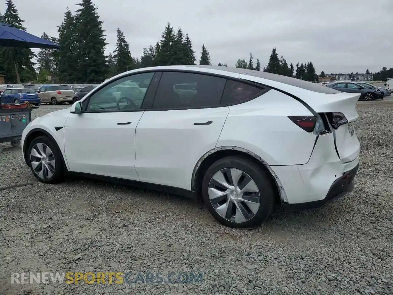 2 Фотография поврежденного автомобиля 5YJYGDEE8MF106911 TESLA MODEL Y 2021