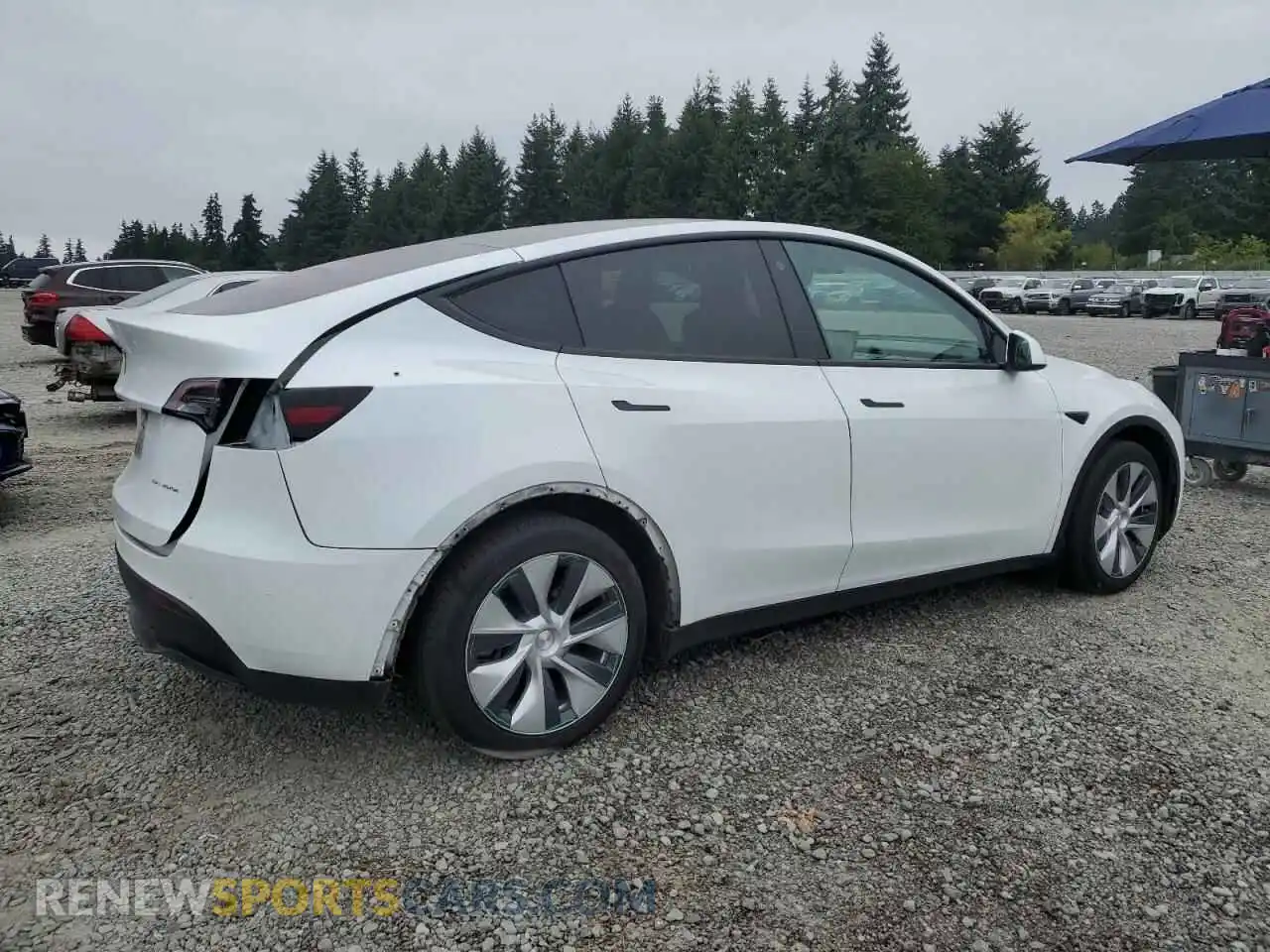 3 Фотография поврежденного автомобиля 5YJYGDEE8MF106911 TESLA MODEL Y 2021