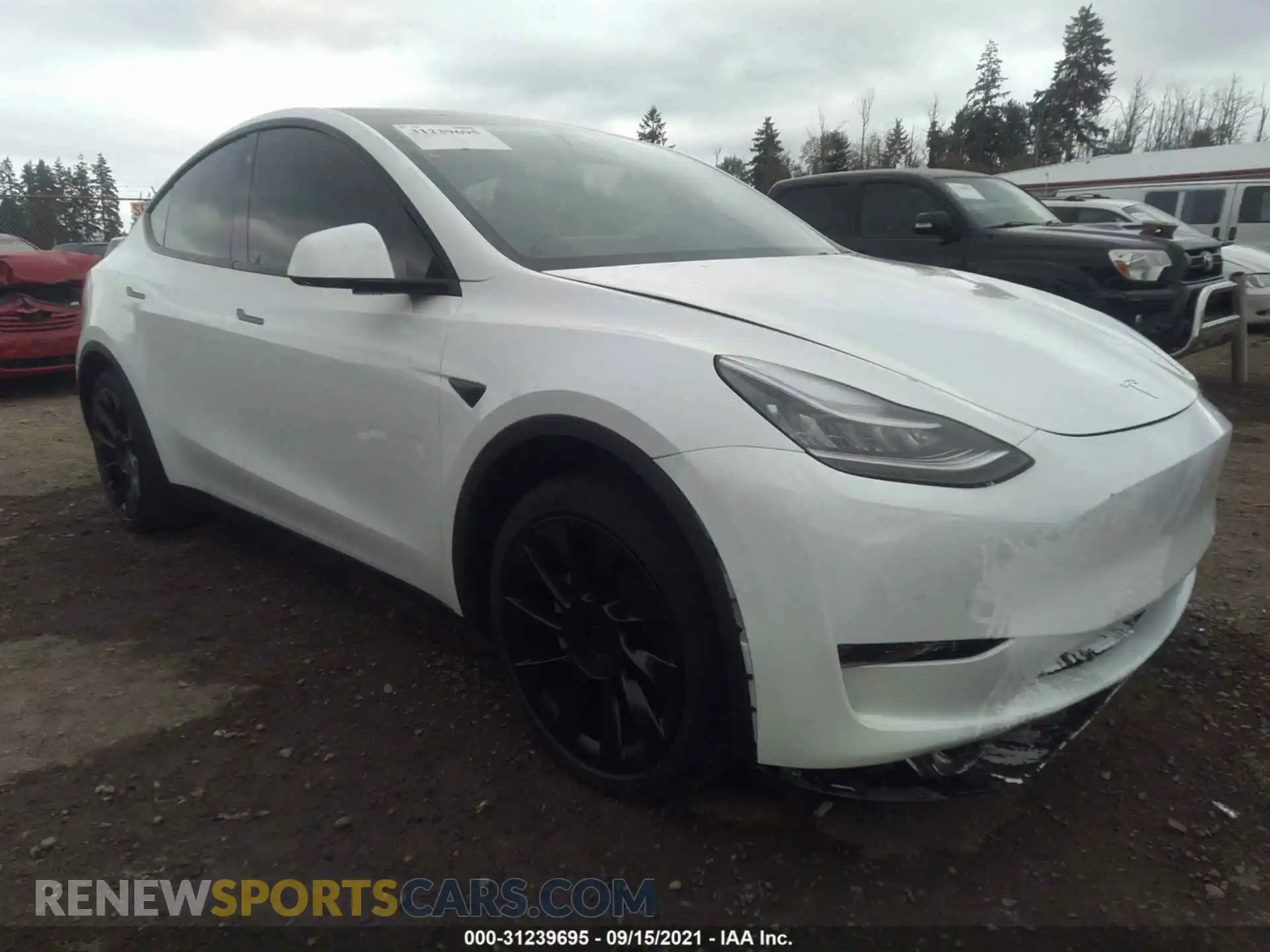 1 fotografías del automóvil dañado 5YJYGDEE8MF138984 TESLA MODEL Y 2021