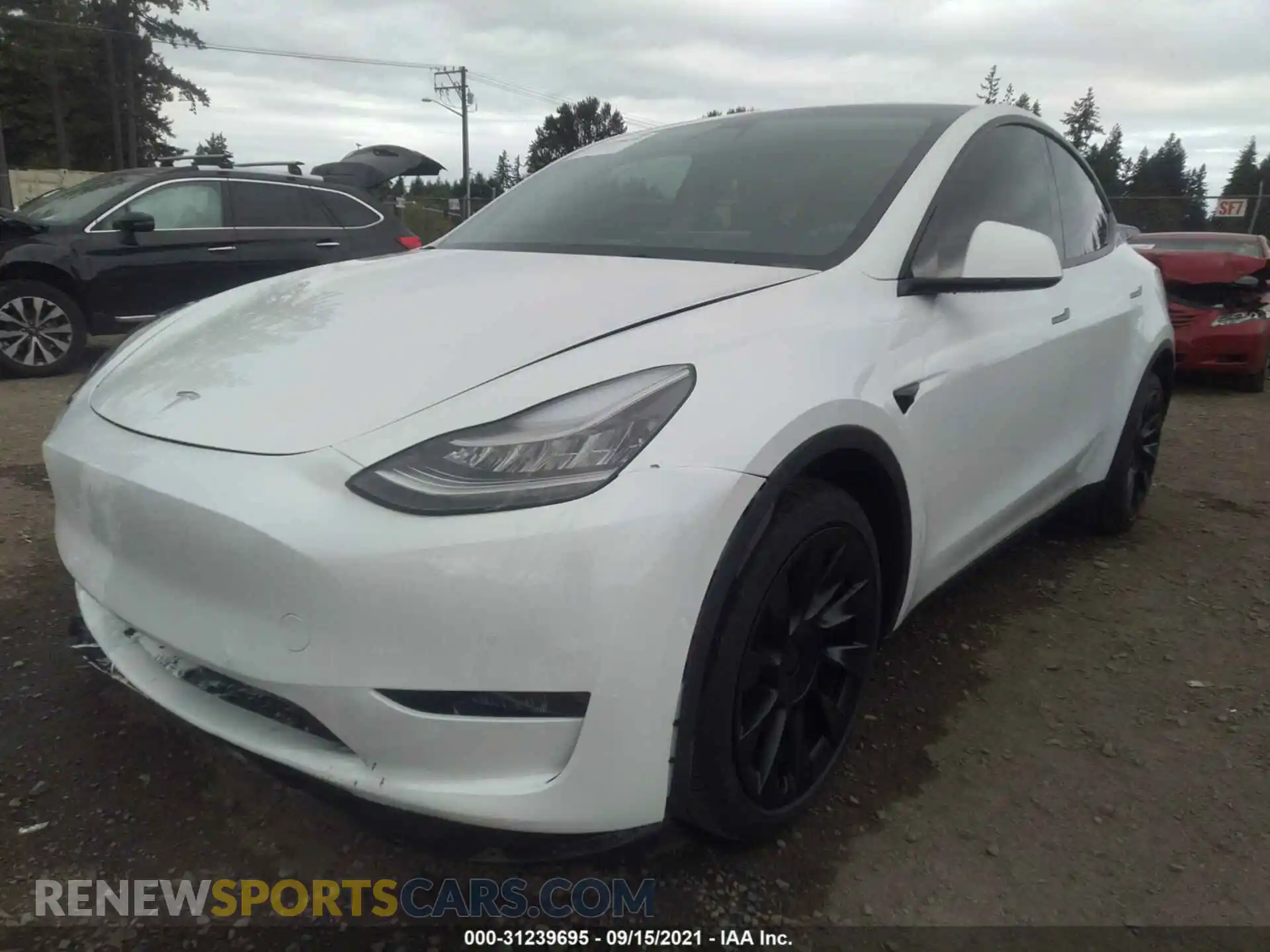2 fotografías del automóvil dañado 5YJYGDEE8MF138984 TESLA MODEL Y 2021