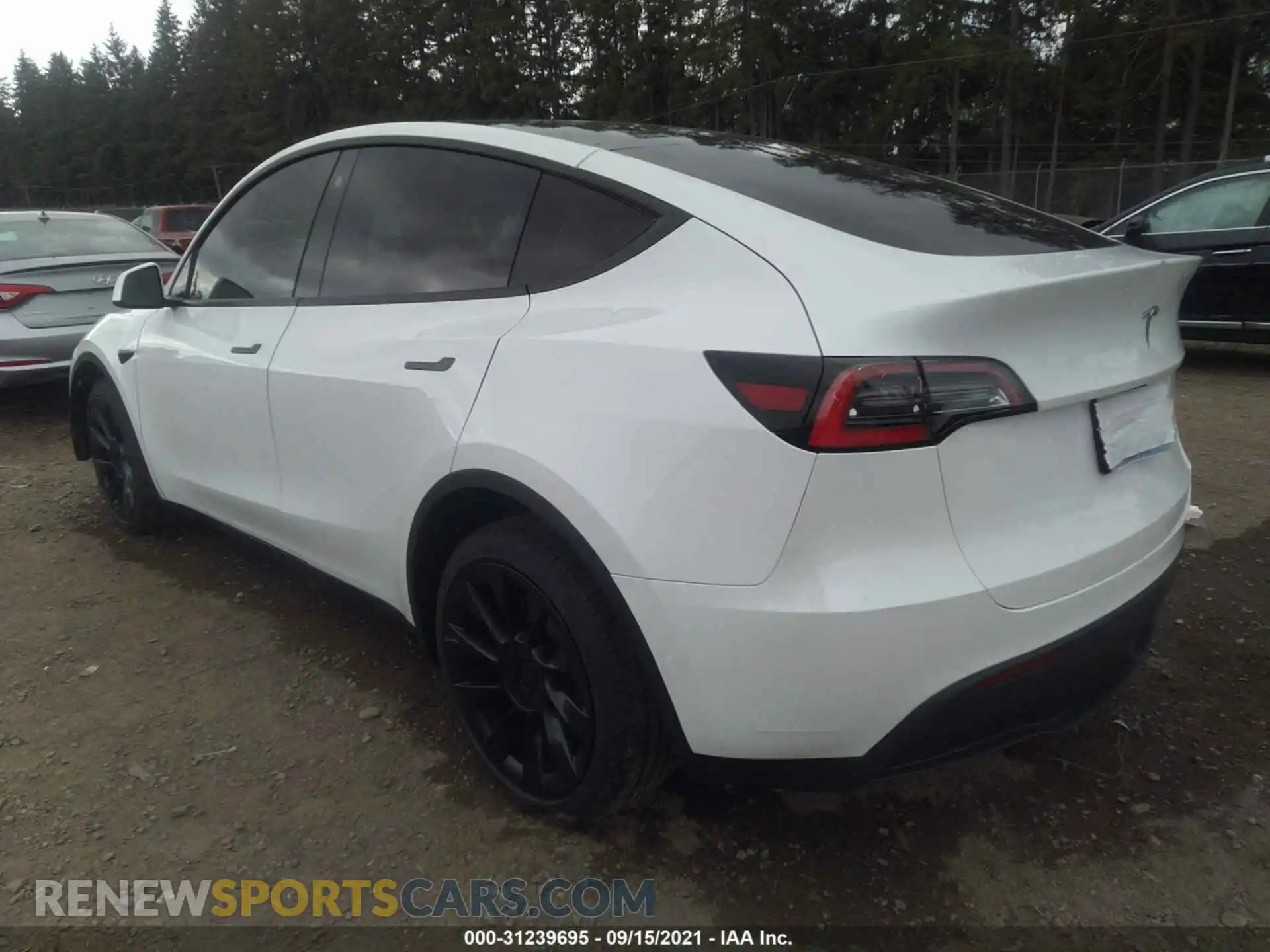 3 fotografías del automóvil dañado 5YJYGDEE8MF138984 TESLA MODEL Y 2021