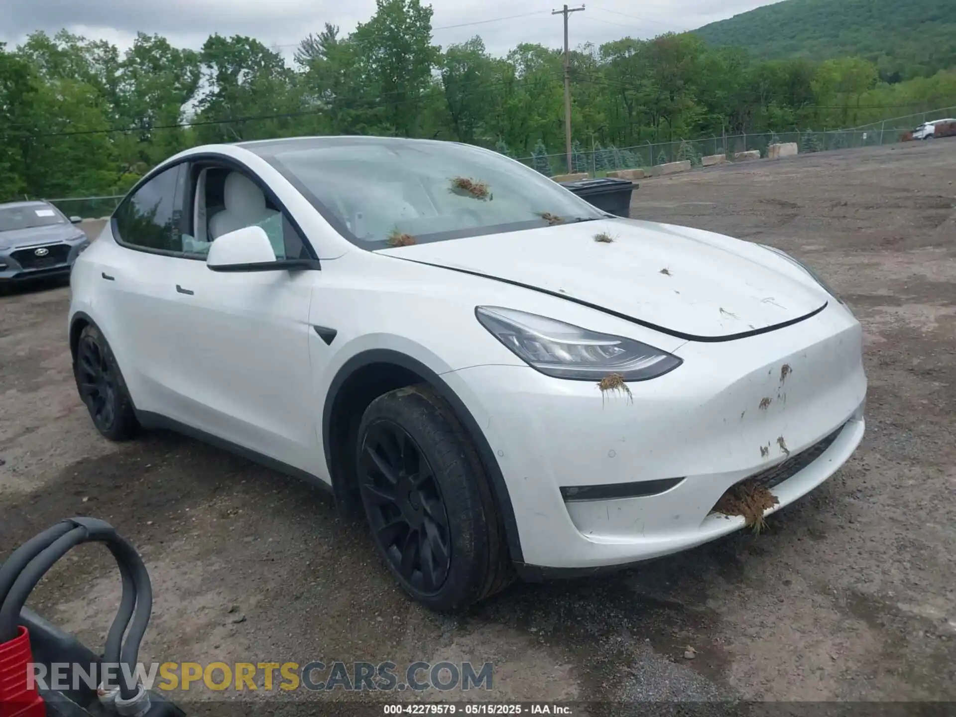 1 Photograph of a damaged car 5YJYGDEE8MF151699 TESLA MODEL Y 2021