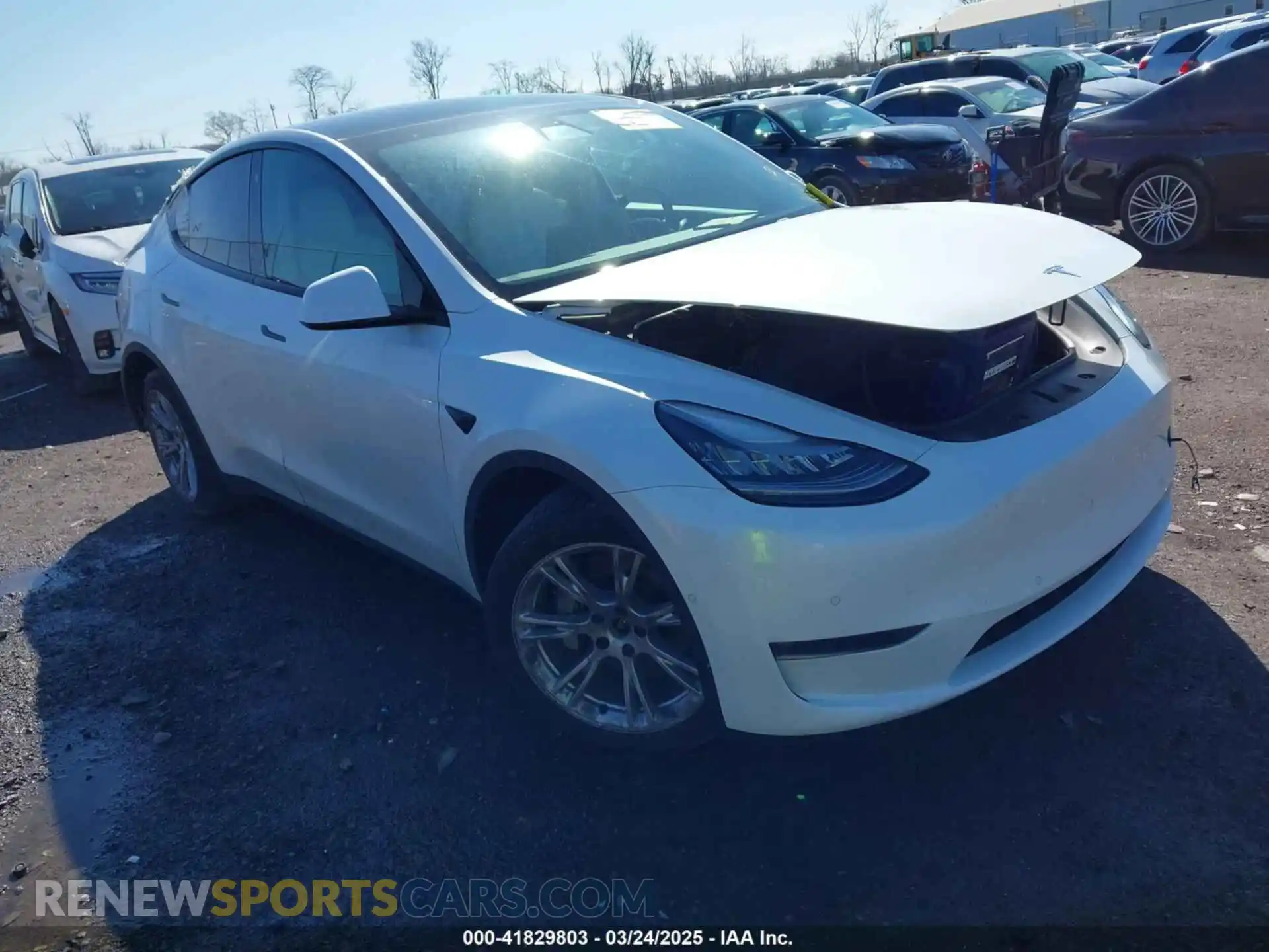 1 fotografías del automóvil dañado 5YJYGDEEXMF085530 TESLA MODEL Y 2021
