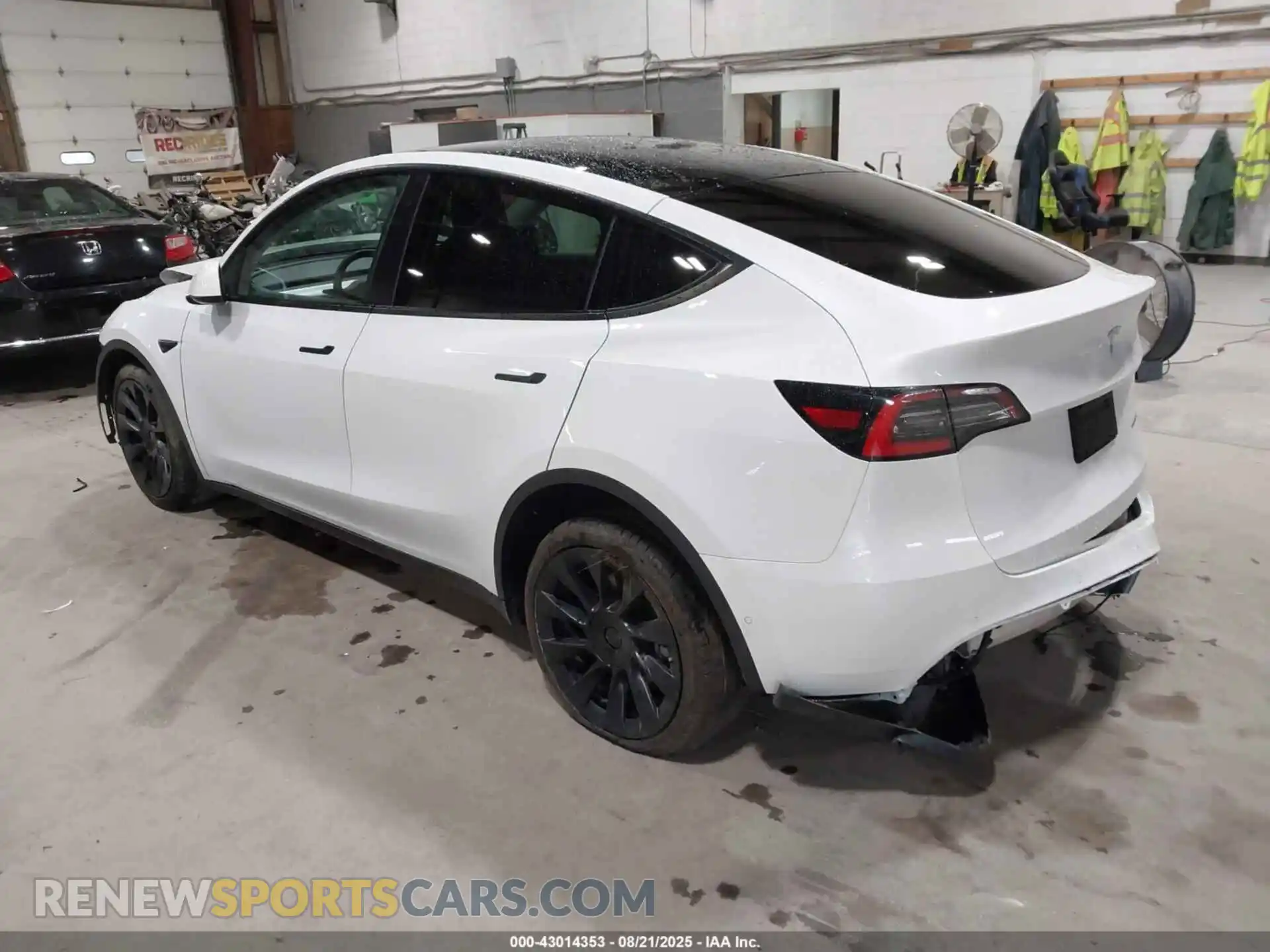 3 Photograph of a damaged car 5YJYGDEEXMF107980 TESLA MODEL Y 2021